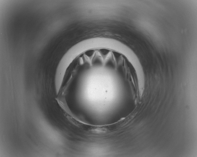X0000070180525200606162125