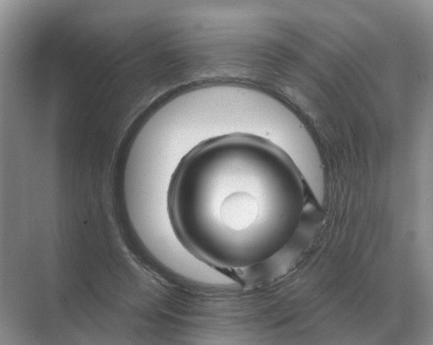 X0000070180544200606162124