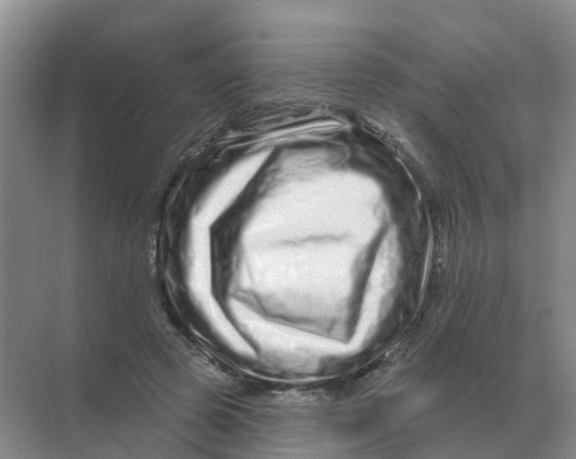 X0000070180545200606162124