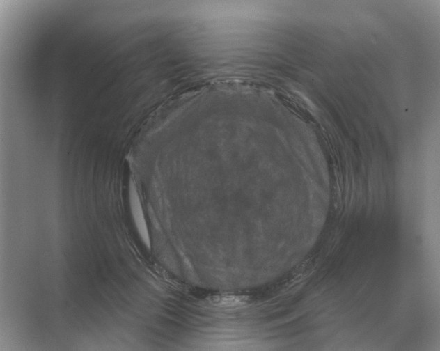 X0000070180553200606162125