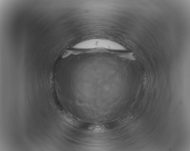 X0000070180559200606162125