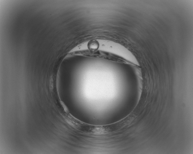 X0000070180562200606162125
