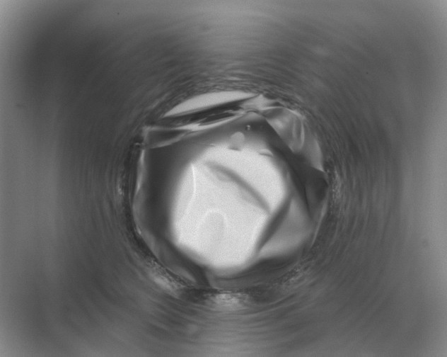 X0000070180566200606162125