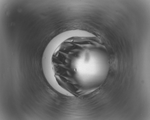 X0000070180574200606162125