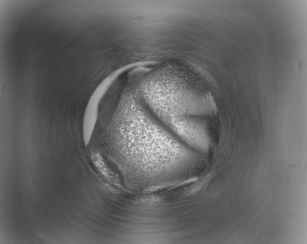 X0000070180576200606162125