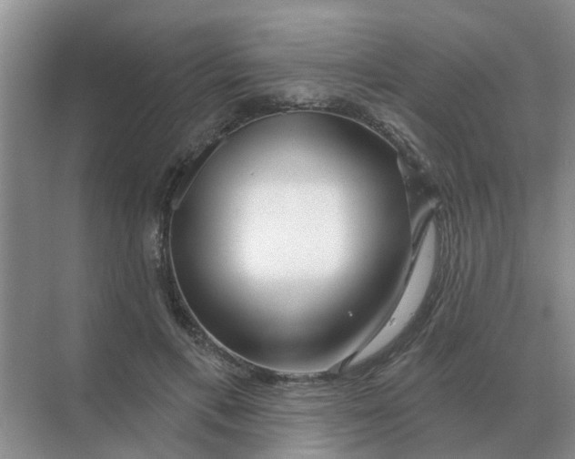 X0000070180597200606162124