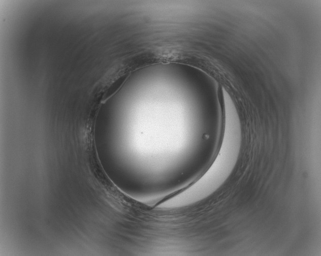 X0000070180601200606162124