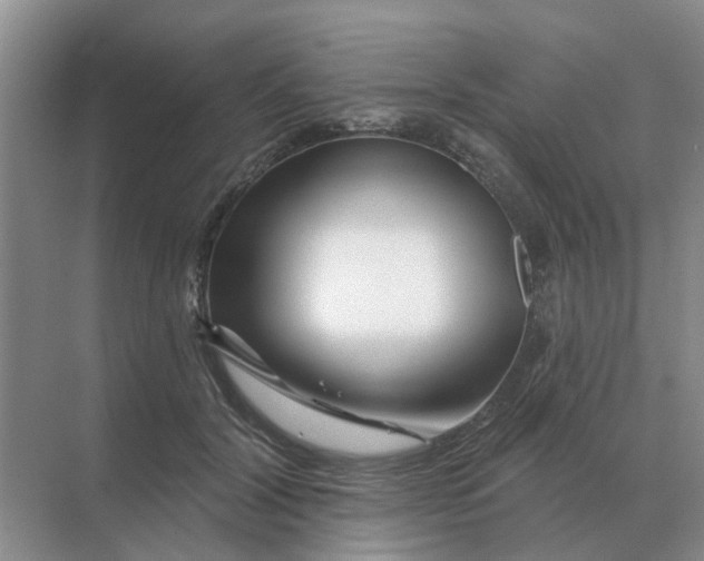 X0000070180604200606162124