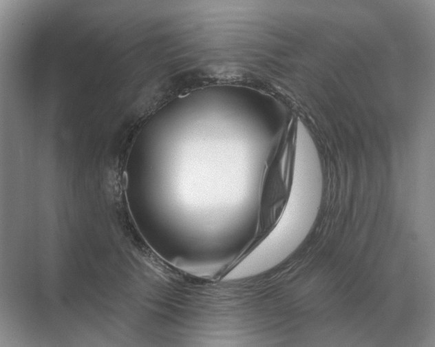 X0000070180609200606162124