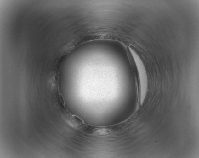 X0000070180611200606162124
