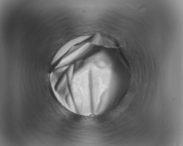 X0000070180624200606162123