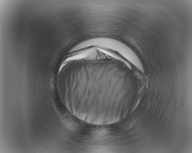 X0000070180643200606162123