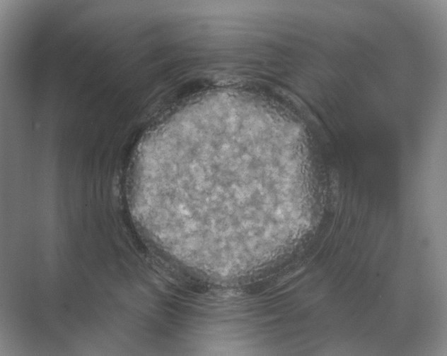 X0000070180667200606162123