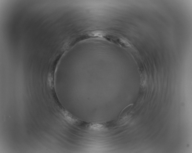 X0000070180669200606162123