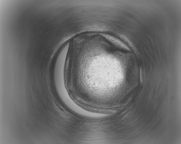 X0000070180675200606162122