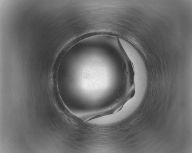 X0000070180676200606162122