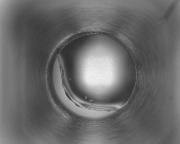X0000070180680200606162122
