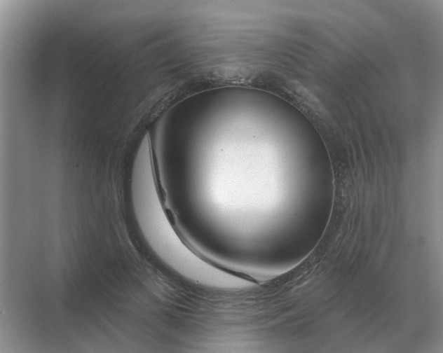 X0000070180693200606162122