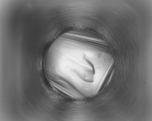 X0000070180694200606162122