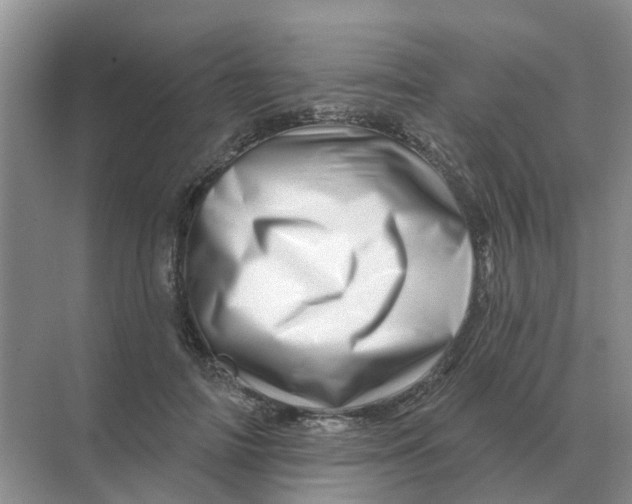 X0000070180698200606162122