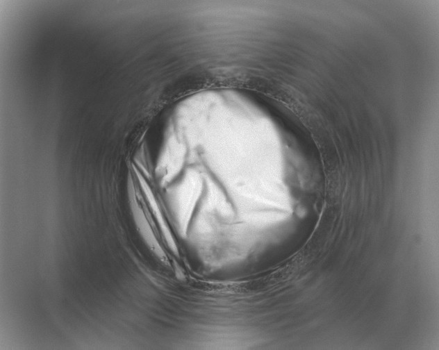 X0000070180703200606162122