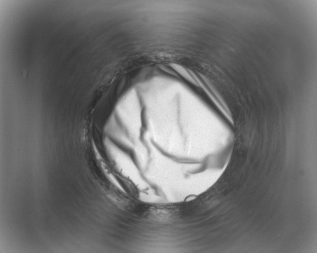 X0000070180706200606162122