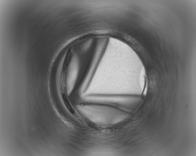 X0000070180728200606162121