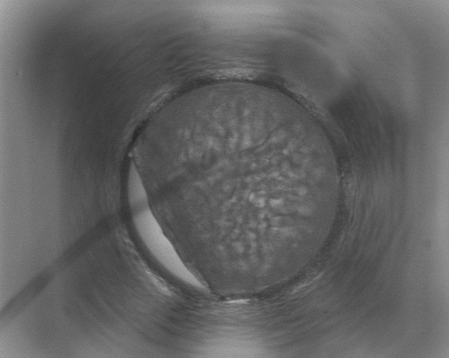 X0000070180729200606162121