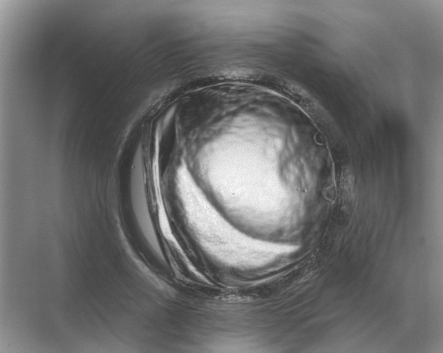 X0000070180734200606162121