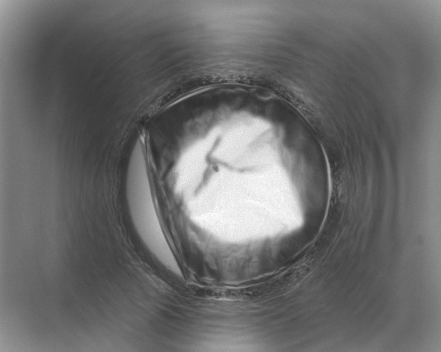 X0000070180737200606162121