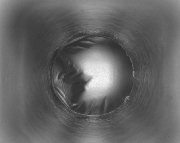 X0000070180743200606162121