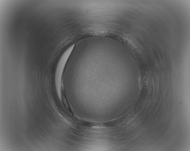 X0000070180744200606162121