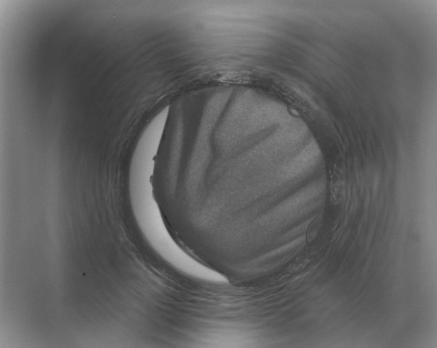 X0000070180748200606162121