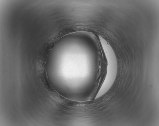 X0000070180751200606162121