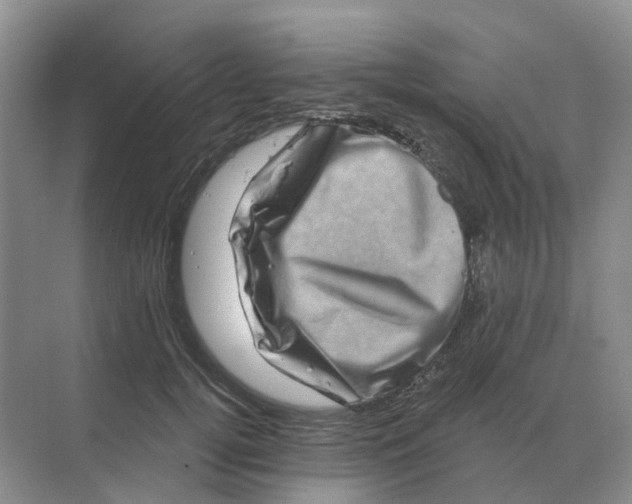 X0000070180752200606162121