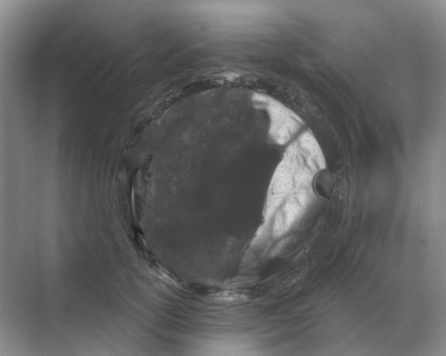 X0000070180754200606162121
