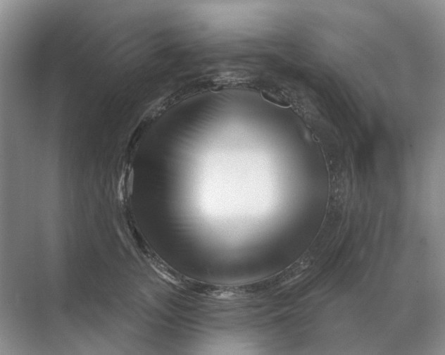 X0000070180755200606162121
