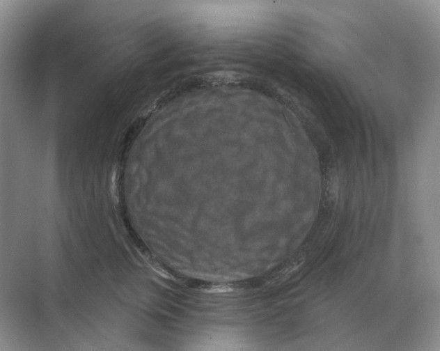 X0000070180759200606162122