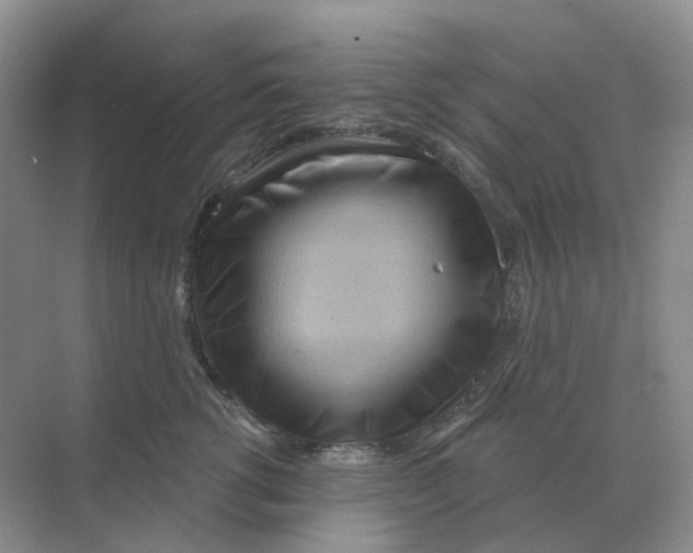 X0000070180762200606162122