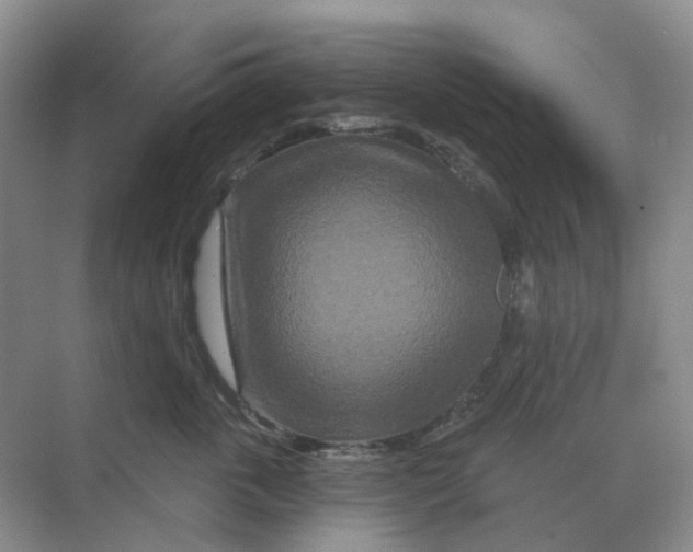 X0000070180763200606162122