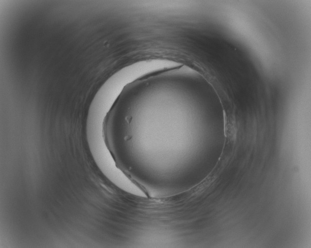 X0000070180766200606162122