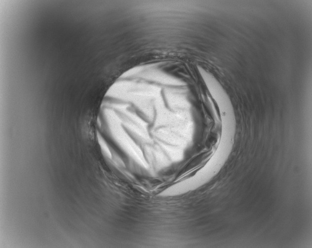 X0000070180770200606162121