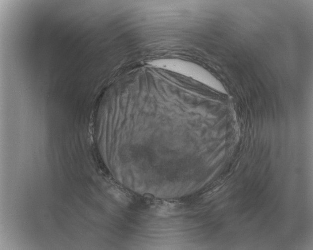 X0000070180772200606162121
