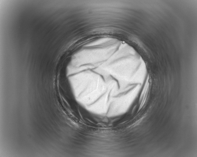 X0000070180778200606162121
