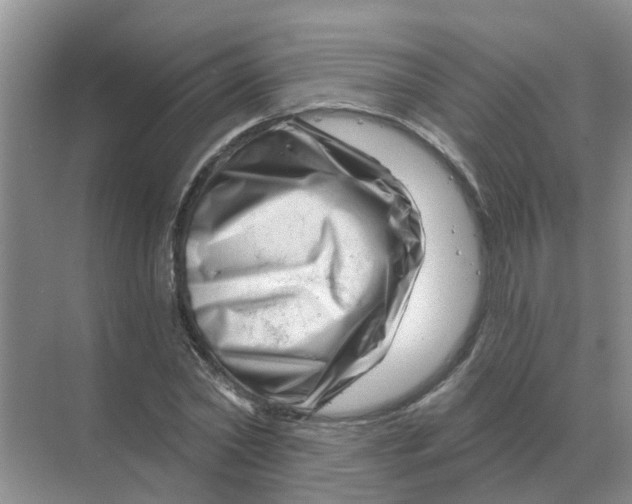 X0000070180782200606162121