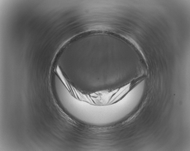 X0000070180783200606162121