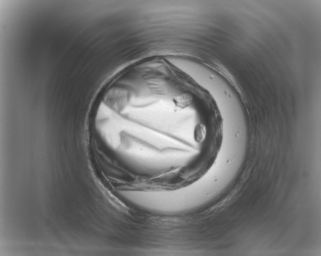 X0000070180787200606162121