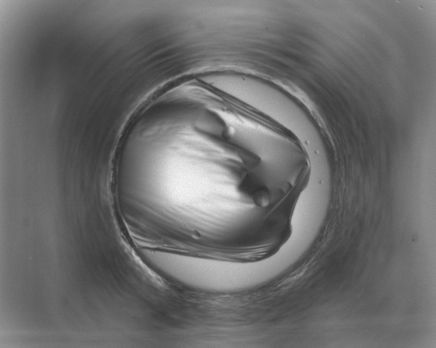 X0000070180799200606162120