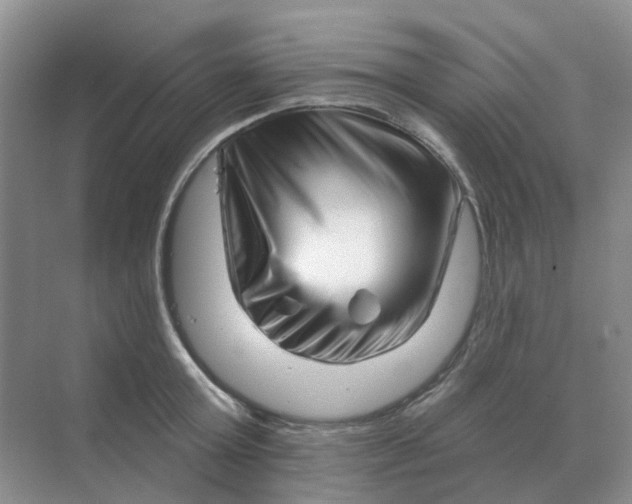 X0000070180803200606162120