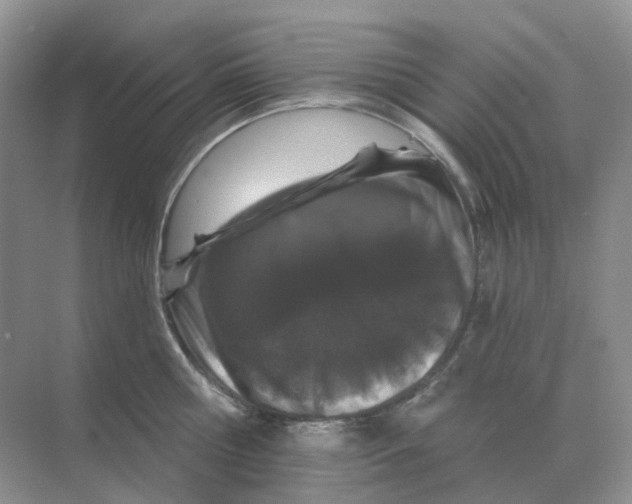 X0000070180810200606162120